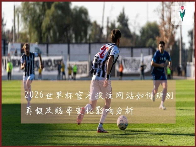 2026世界杯官方投注网站如何辨别真假及赔率变化影响分析