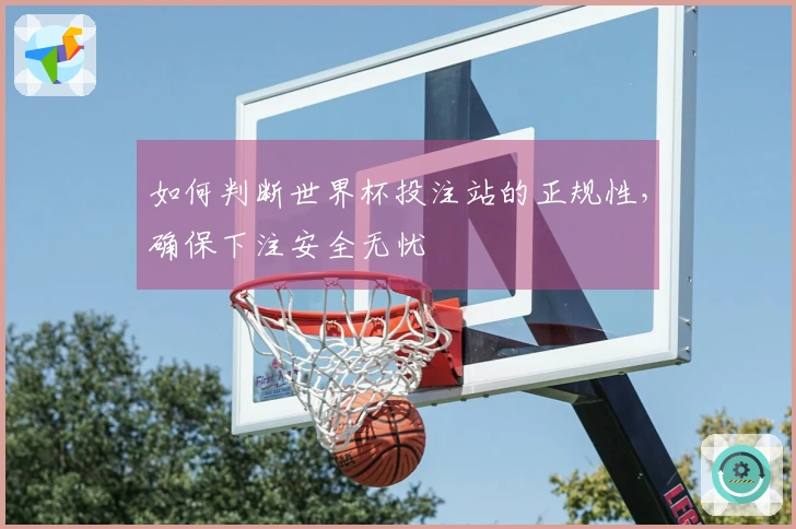 如何判断世界杯投注站的正规性，确保下注安全无忧