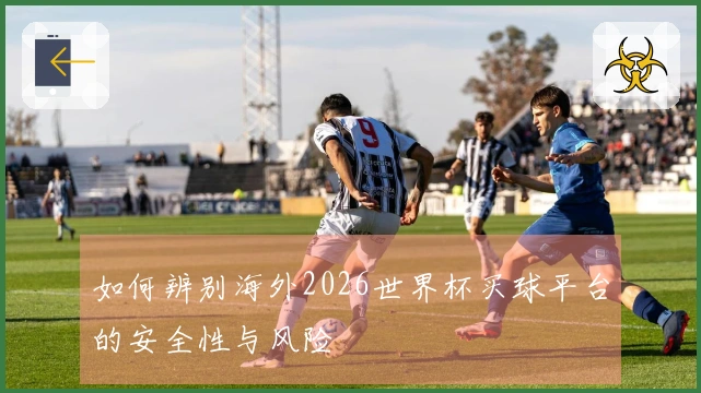 如何辨别海外2026世界杯买球平台的安全性与风险
