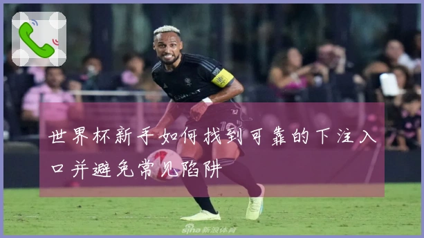 世界杯新手如何找到可靠的下注入口并避免常见陷阱