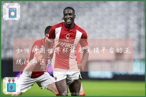 如何辨别世界杯体彩竞猜平台的正规性和区别