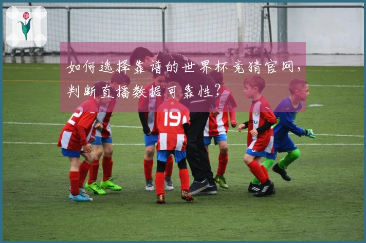 如何选择靠谱的世界杯竞猜官网,判断直播数据可靠性?