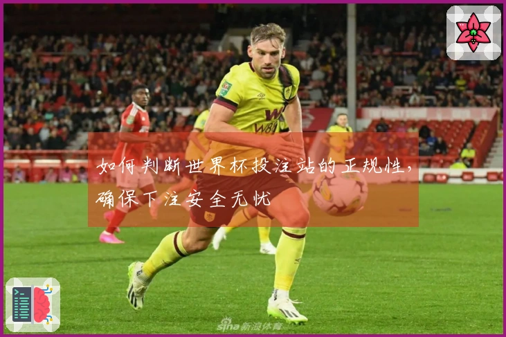 如何判断世界杯投注站的正规性，确保下注安全无忧