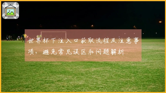 世界杯下注入口获取流程及注意事项，避免常见误区和问题解析