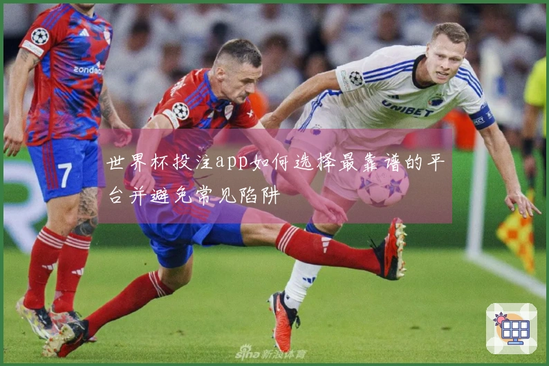 世界杯投注app如何选择最靠谱的平台并避免常见陷阱
