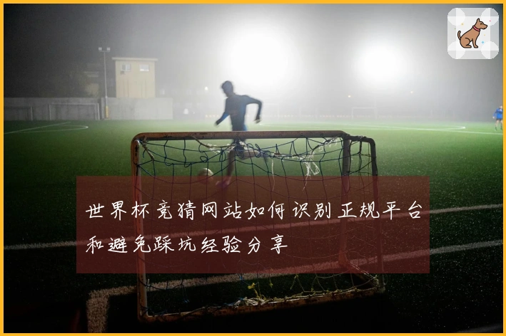 世界杯竞猜网站如何识别正规平台和避免踩坑经验分享